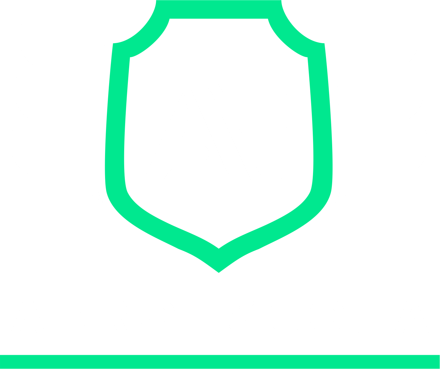 Aeroescola