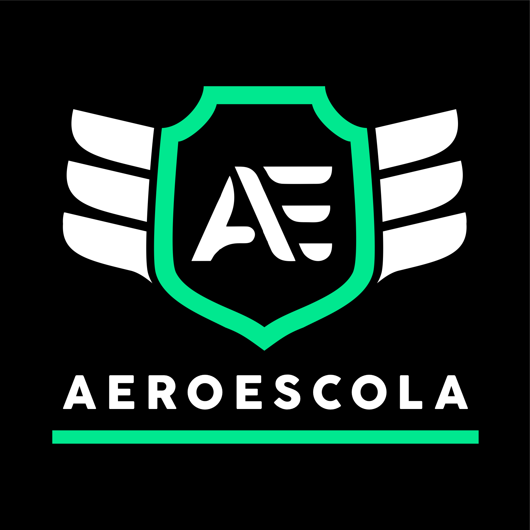 Aeroescola