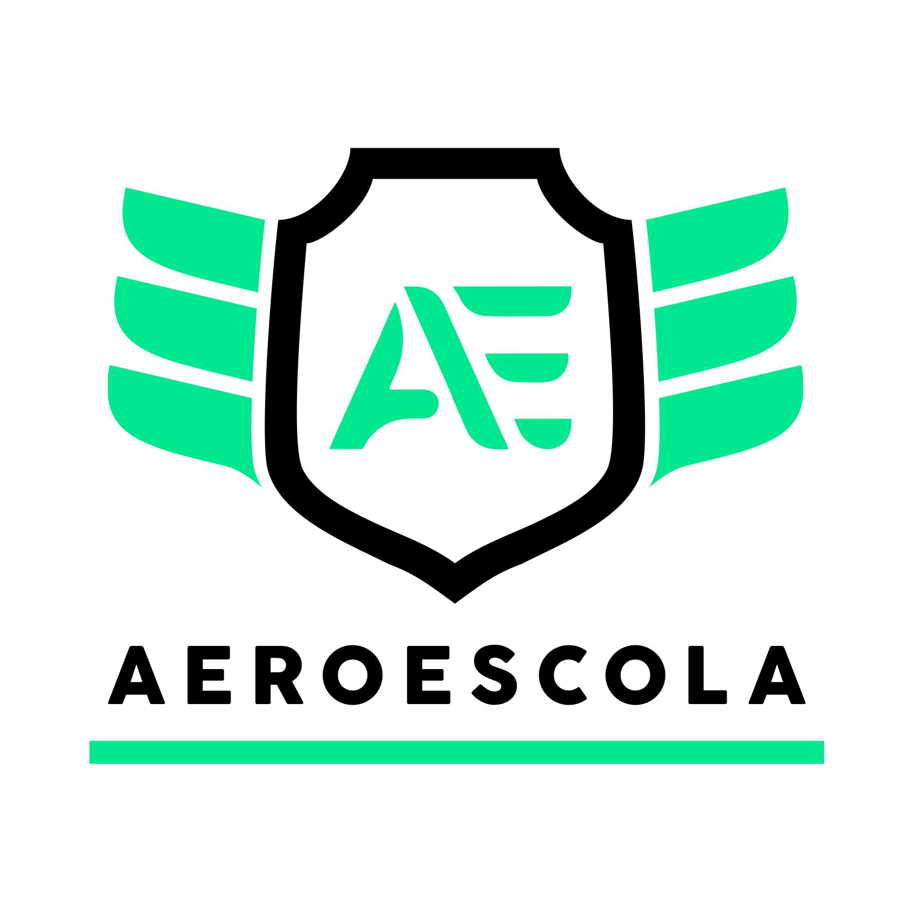 Aeroescola